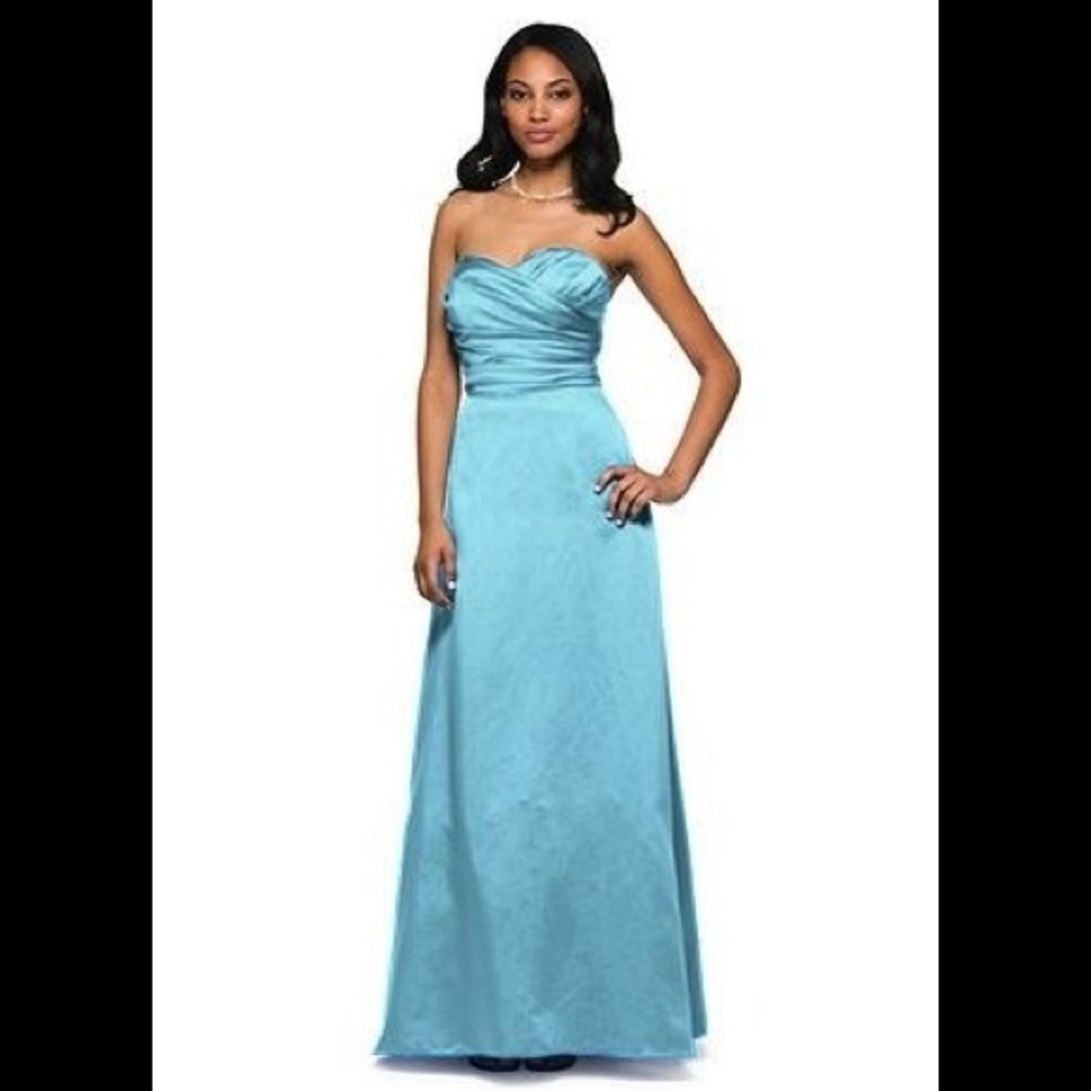 David’s Bridal formal/prom dress.